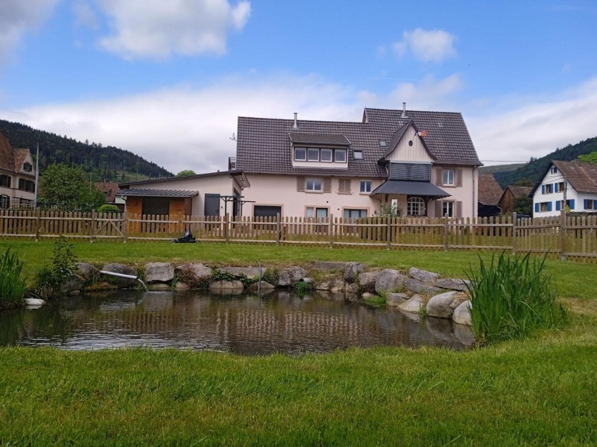 Le Gite Des Kritter Stosswihr Exteriör bild