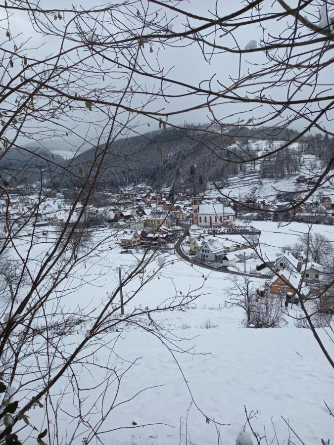 Le Gite Des Kritter Stosswihr Exteriör bild