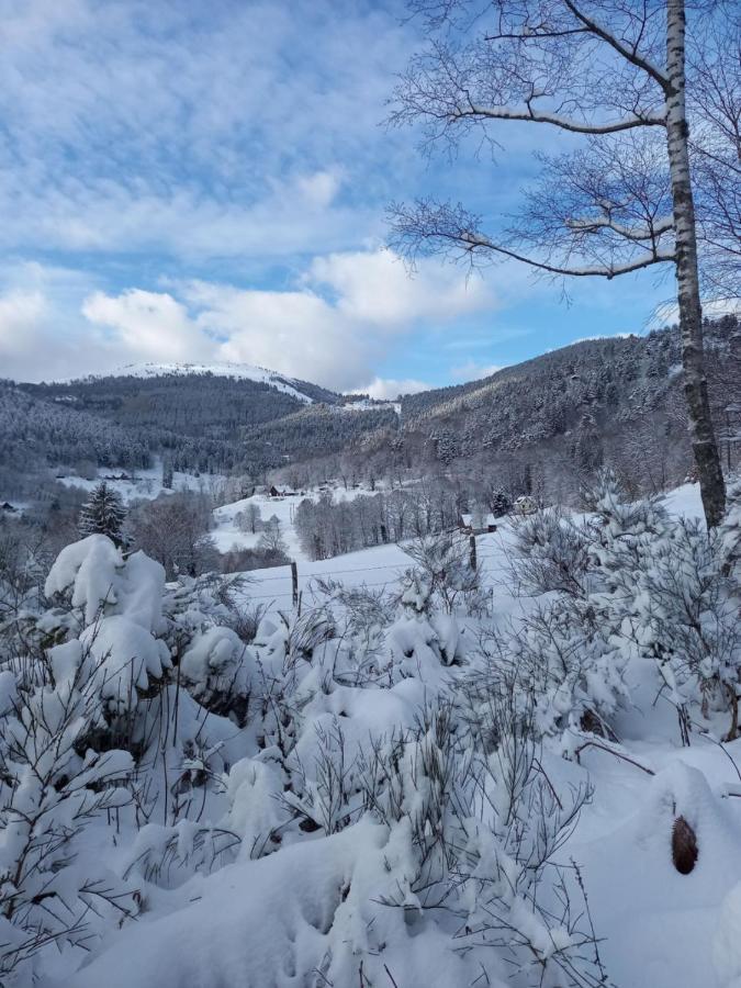 Le Gite Des Kritter Stosswihr Exteriör bild